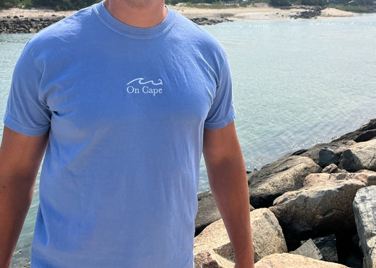 Man wearing sunglasses and a blue t-shirt with a logo, standing by a body of water.